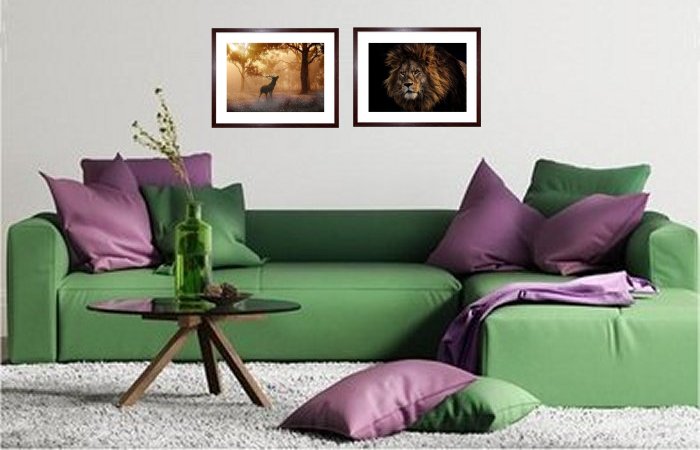 Animal Framed Prints